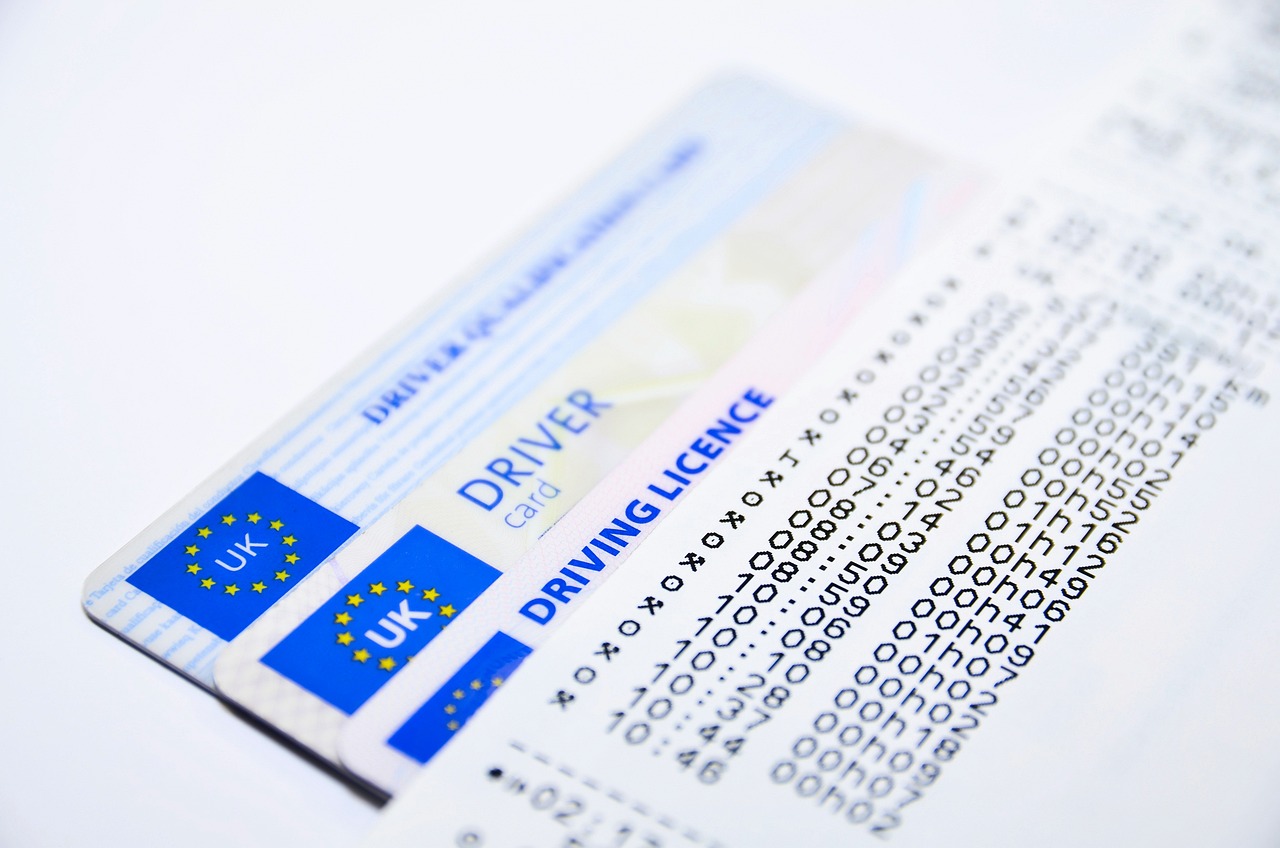 types of driving licenses